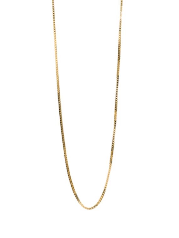 Sorrelli- Box Chain Long Strand Necklace in Gold