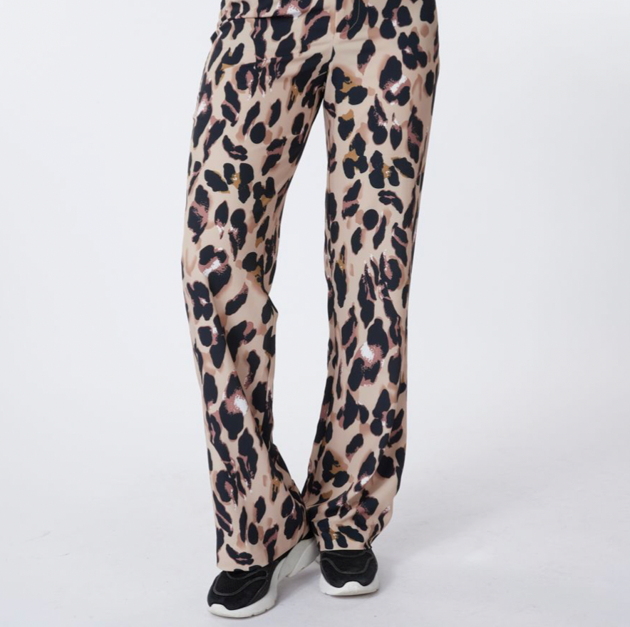 Esqualo- Drape Pants in Run Wild Print