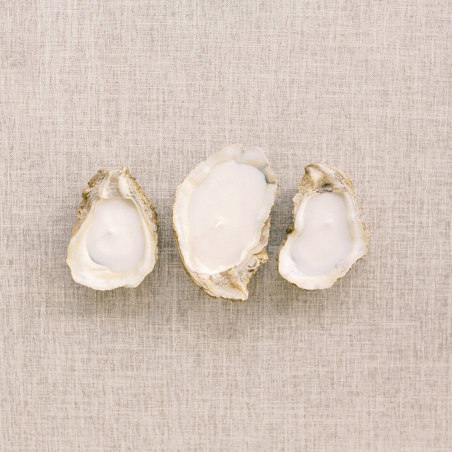 Grit and Grace Studio - Oyster Shell Candle in Beach Bonfire